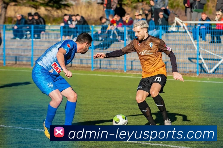 乐鱼官网平台生态图